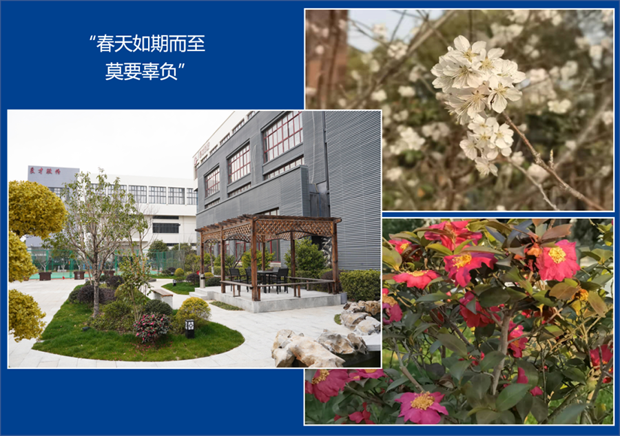微信圖片_20220415160429.png